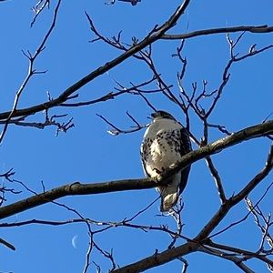 Meet your Posher, Edwar